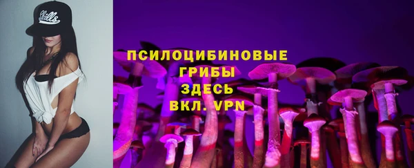 spice Алексин