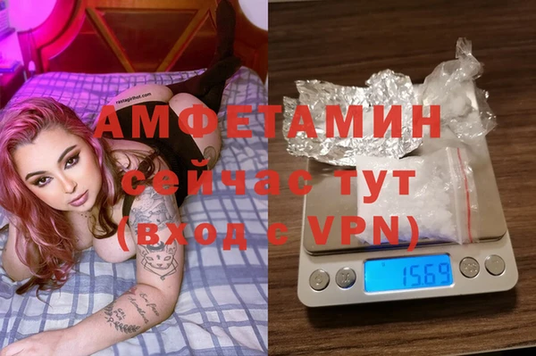 гашик Алзамай