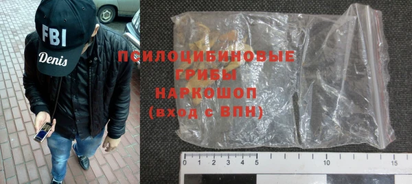 гашик Алзамай