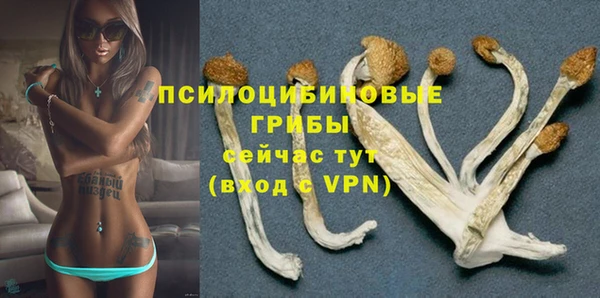 spice Алексин
