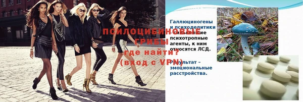 гашик Алзамай