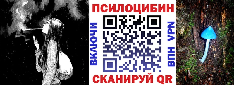 Галлюциногенные грибы Cubensis  Заполярный 